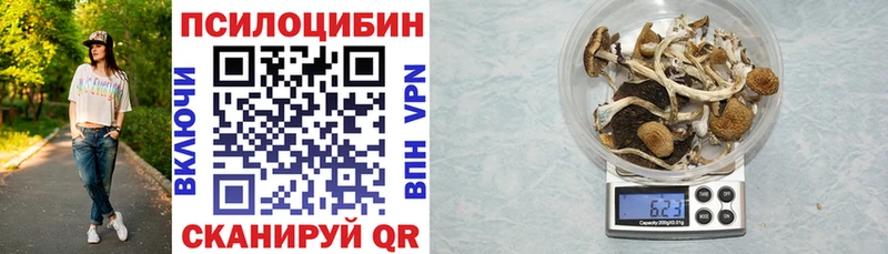 Галлюциногенные грибы Magic Shrooms  Купить  Славск 